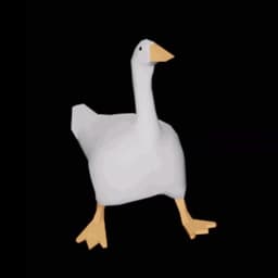 kishmish7