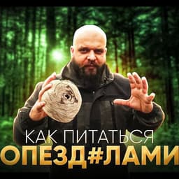 T1M2S_CS
