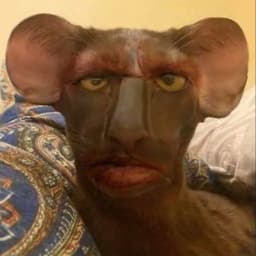 Sal0_o