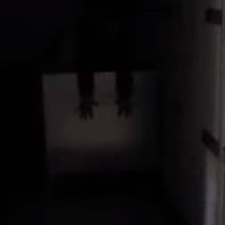 Privilenge