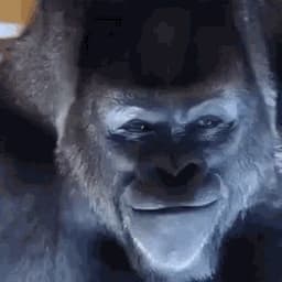Lampochka_0