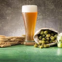 bier_enjoyer