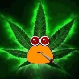 kairlyy