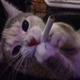 Smokingh