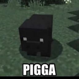 s0s1