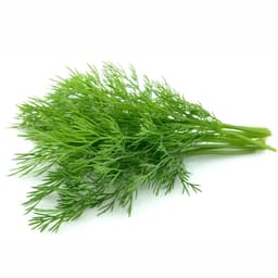 ykrop5214