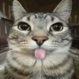 RedDropp