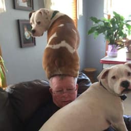 martdog1