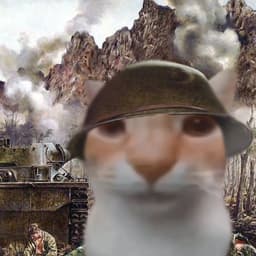 vkurseee