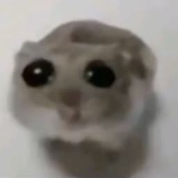 ghost2k20