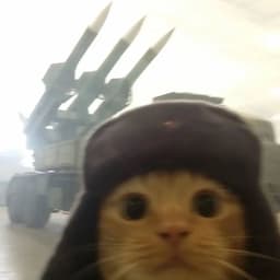 imnotkwasu