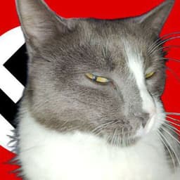 ebyigry