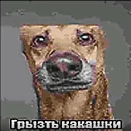 flakyshka