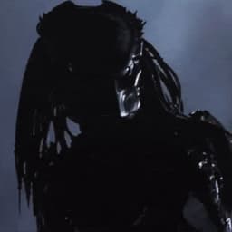 Preddator