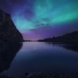F0restLake