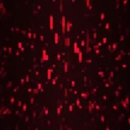 atel_53