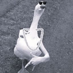 abbenat0r