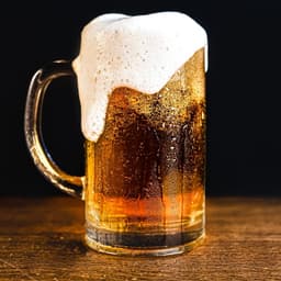 ToploPivo