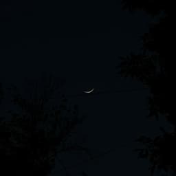 isaev_alr