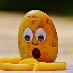 PotatoPirate