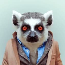 sCutz