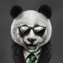 PanDa77013