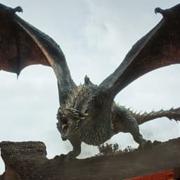 DrogoN-
