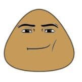 hamamtasi_