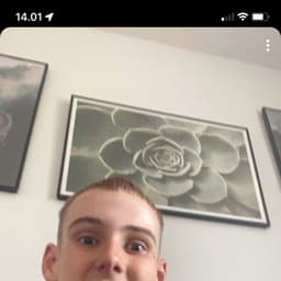 PAPAali1