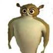 Skittishhhh