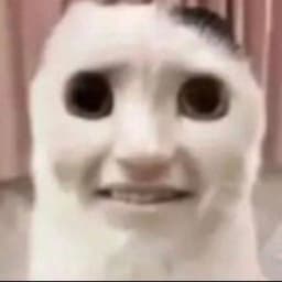 benim69