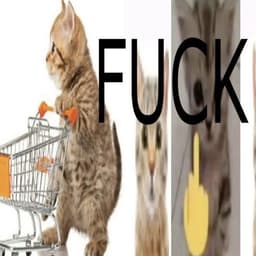 W0ndY