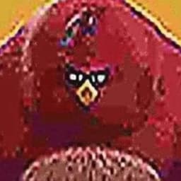 youpyy