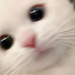 fluffy_plush