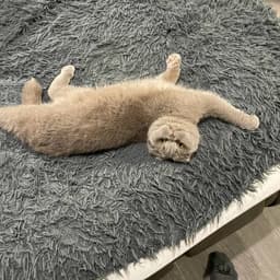 Mrins-