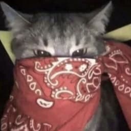 qqruZzy