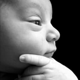 baby213