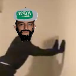wdz666