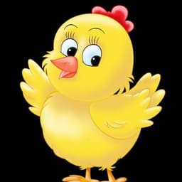 Quckiy
