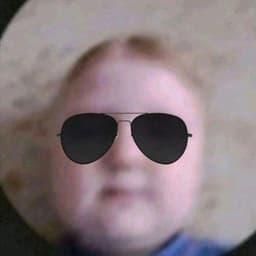gul1verus