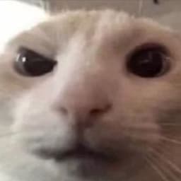 jentelmen1