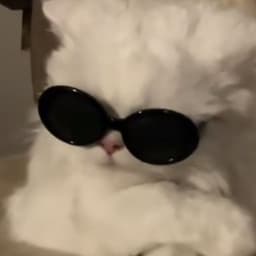 requk