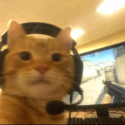 IRL-