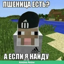 krevetk1337