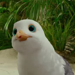 rnbwk