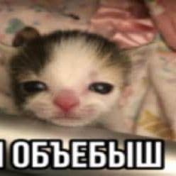 FSFSSDFE2