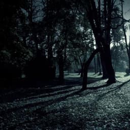 ---Shadow-