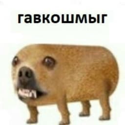 Slave_bob