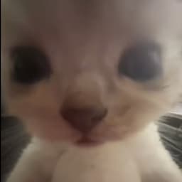 rehtraf