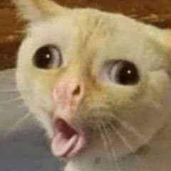 ChegadoXD